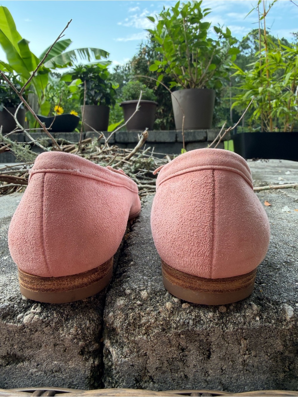 Manolo Blahnik Pink Suede Pointed Toe Flats with Bow sz6 - Picture 4 of 9